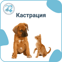 Кастрация