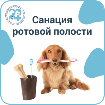 Санация ротовой полости